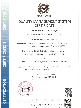 鼎点-ISO9001认证证书英文版